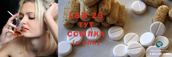 индика Абинск