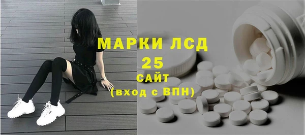 индика Абинск