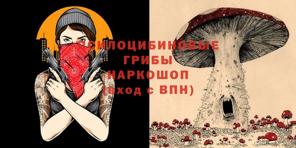 МДПВ Покровск