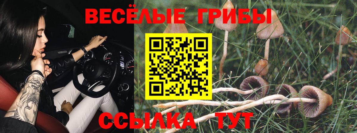 Азнакаево  Галлюциногенные грибы Psilocybine cubensis  Вход с VPN 