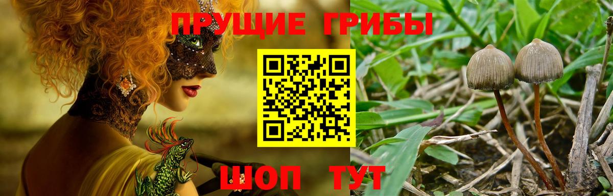 Галлюциногенные грибы Magic Shrooms Азнакаево